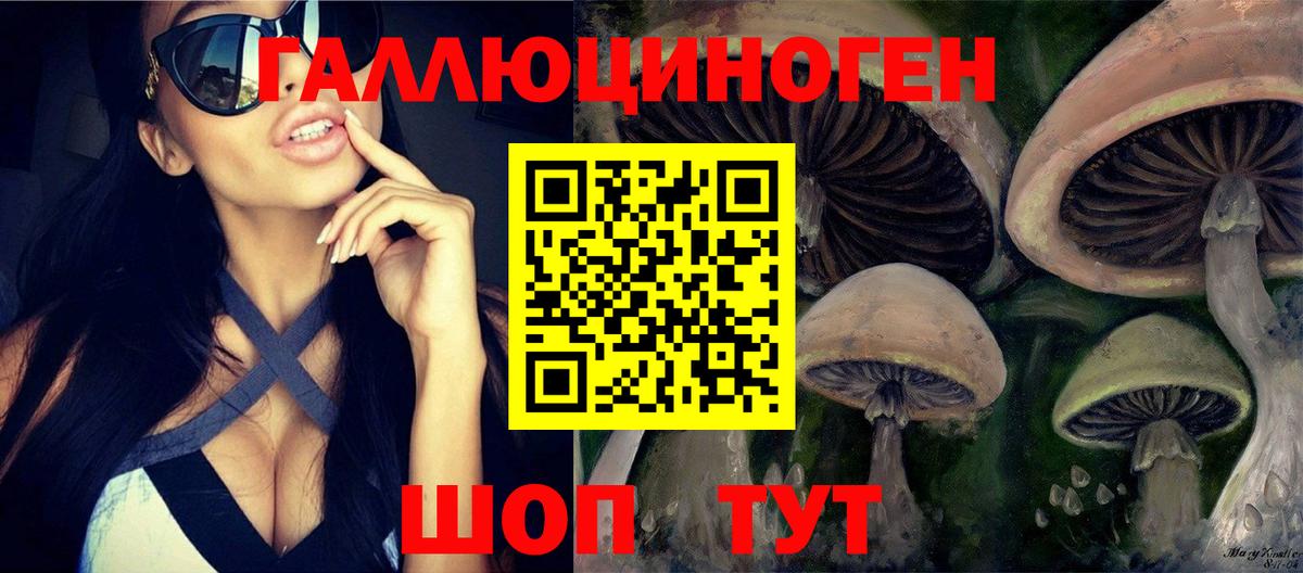 купить наркотики сайты  Галлюциногенные грибы мухоморы  Вход с VPN  Фрязино  Псилоцибиновые грибы MAGIC MUSHROOMS 