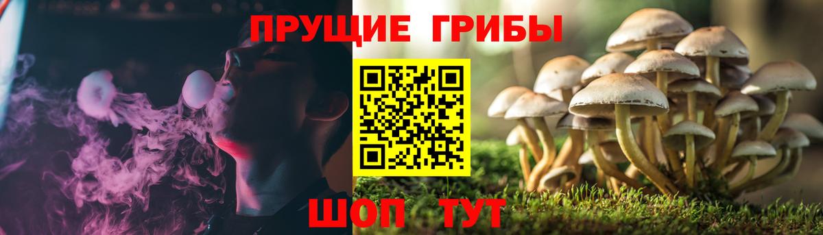 Псилоцибиновые грибы MAGIC MUSHROOMS Фрязино